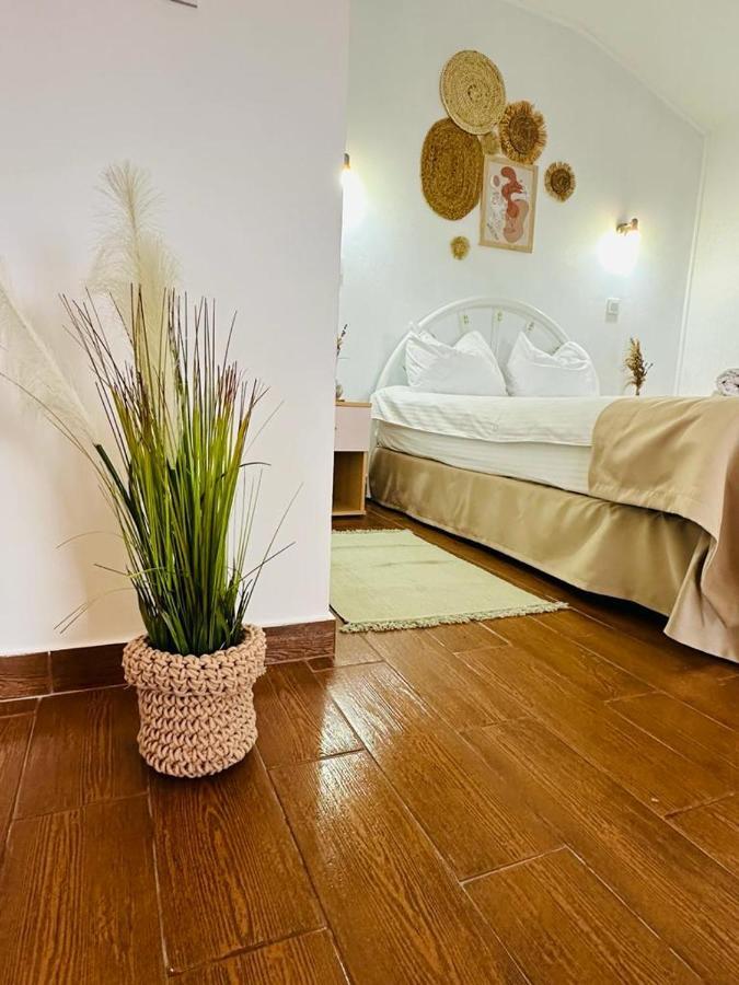 Vila Primavera Vama Veche Ngoại thất bức ảnh